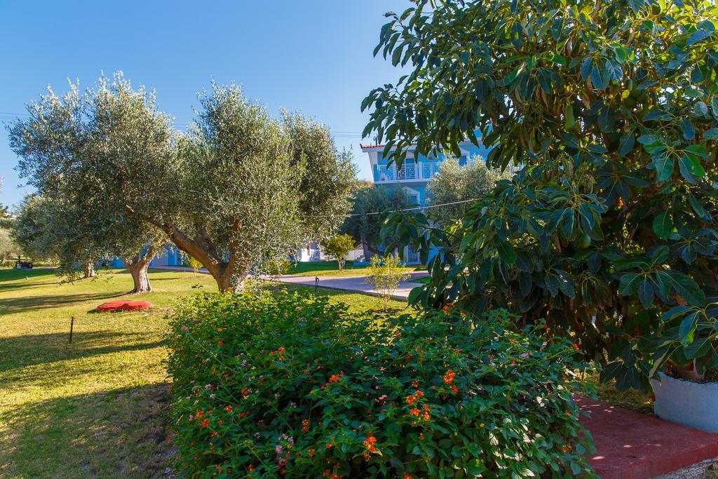 Filoxenia Apartments & Studios Theológos Екстериор снимка